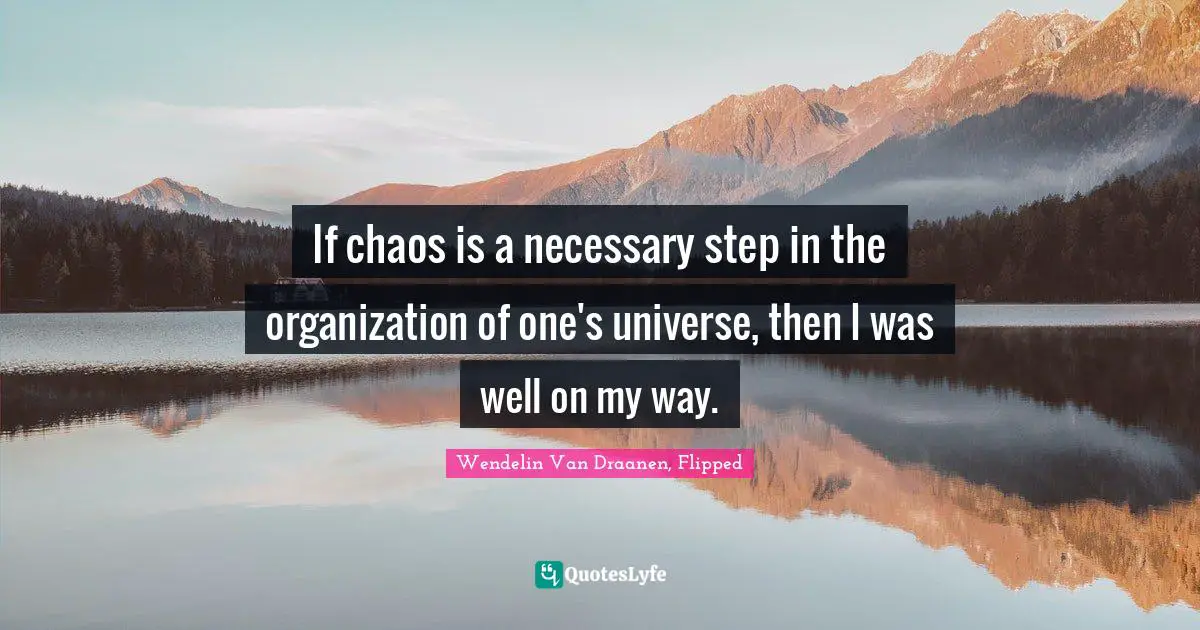 If chaos is a necessary step in the organization of one's universe, then I was well on my way.