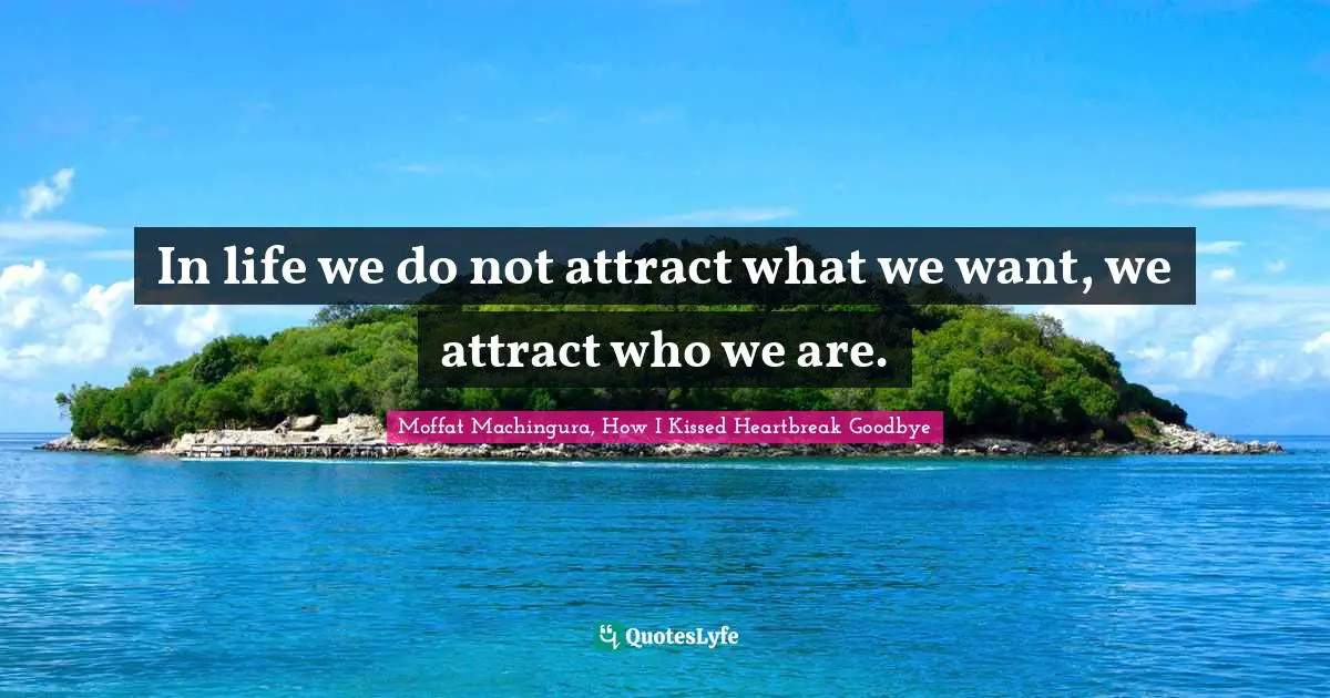 Moffat Machingura Quotes: "In life we do not attract what we want, we attract who we are."