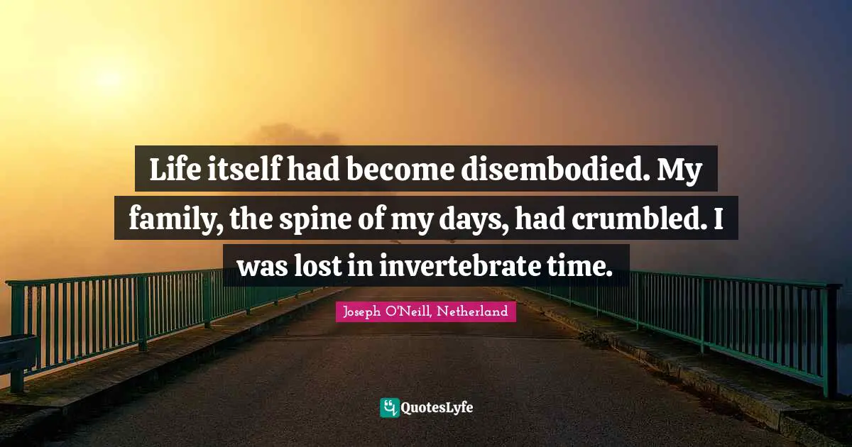 Joseph O'Neill, Netherland Quotes: "Life itself had become disembodied. My family, the spine of my days, had crumbled. I was lost in invertebrate time."