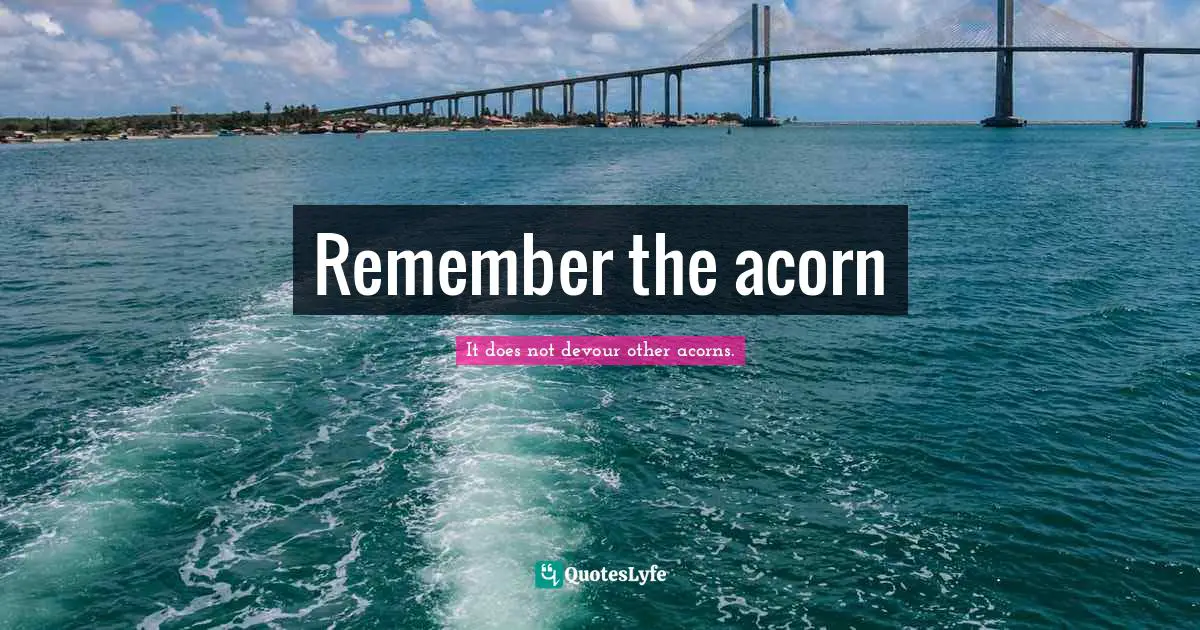 Remember the acorn