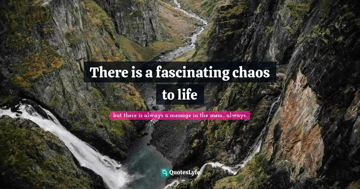 There is a fascinating chaos to life