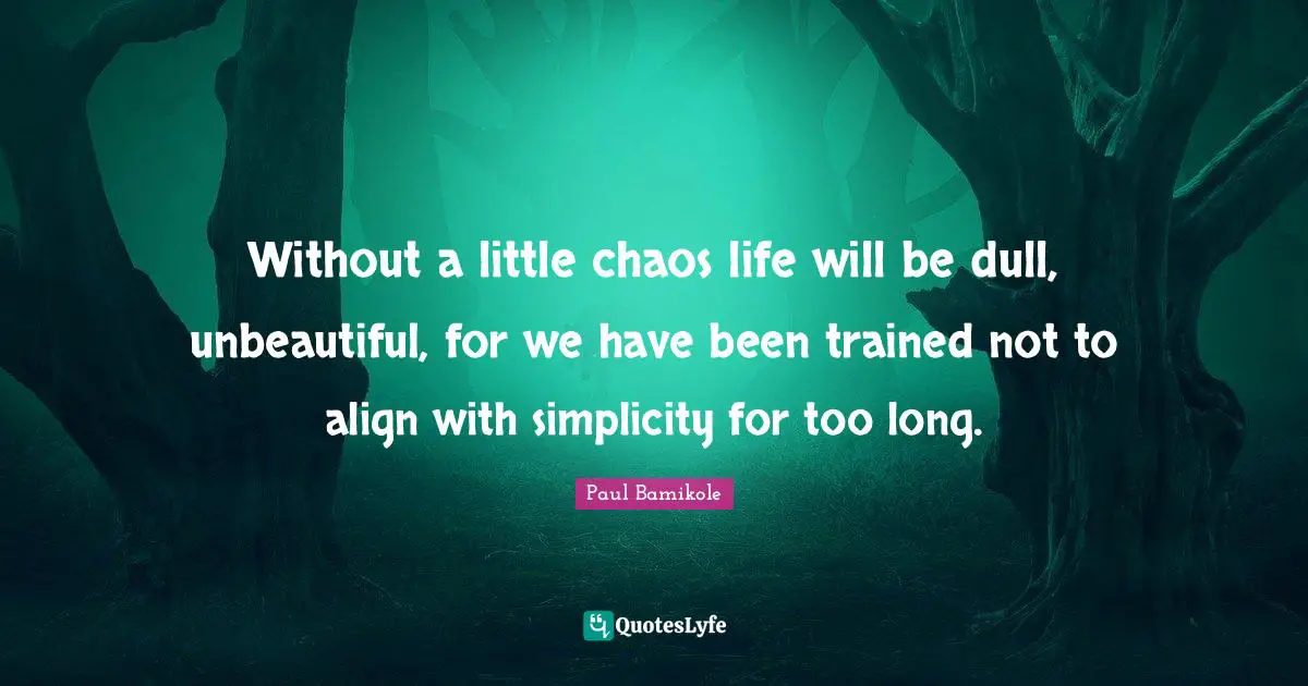Without a little chaos life will be dull, unbeautiful, for we have been trained not to align with simplicity for too long.