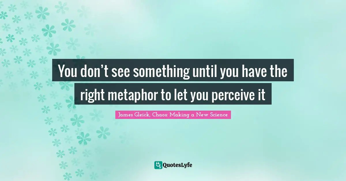 You don’t see something until you have the right metaphor to let you perceive it
