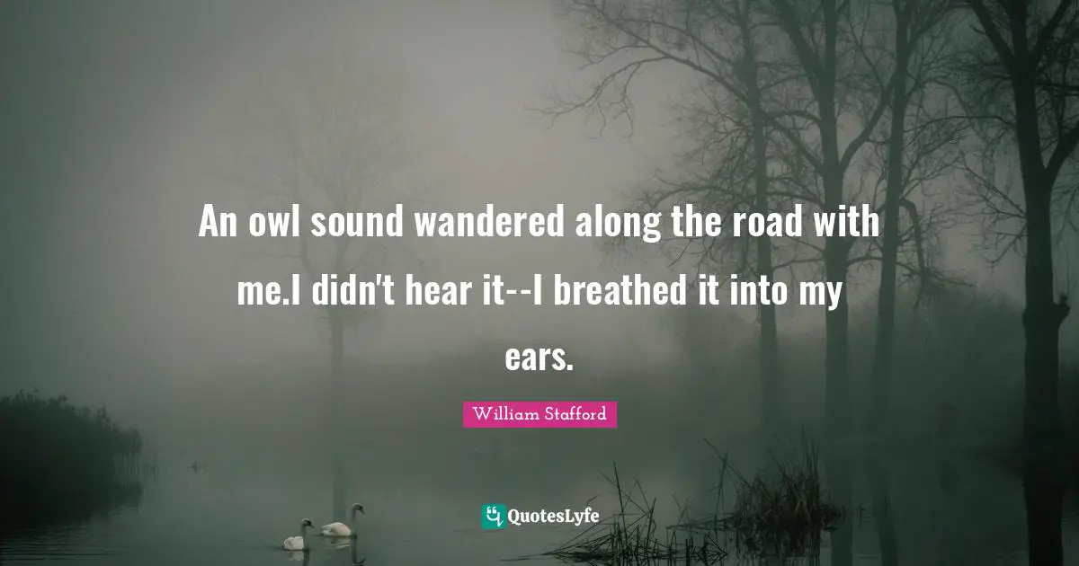 An owl sound wandered along the road with me.I didn't hear it--I breathed it into my ears.