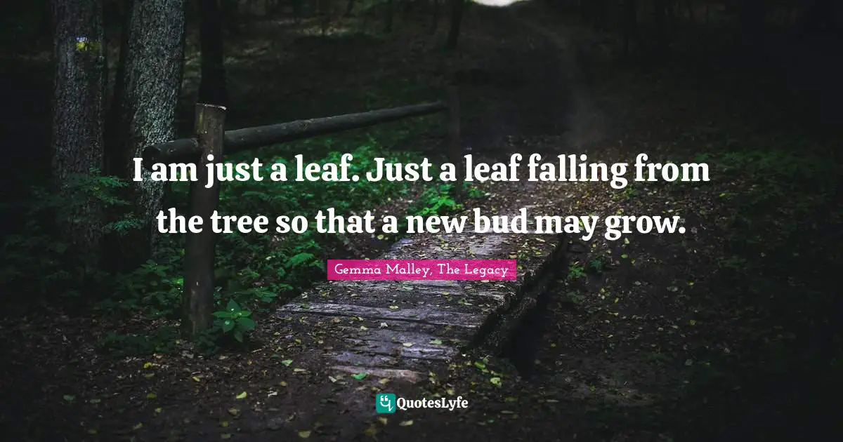 I am just a leaf. Just a leaf falling from the tree so that a new bud may grow.
