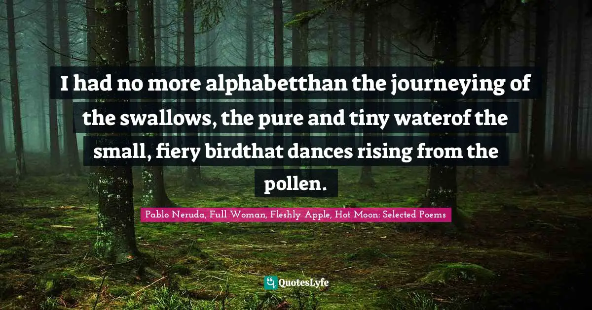 I had no more alphabetthan the journeying of the swallows, the pure and tiny waterof the small, fiery birdthat dances rising from the pollen.