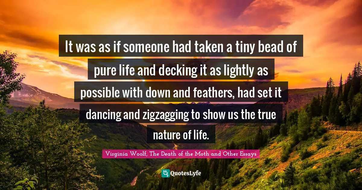 It was as if someone had taken a tiny bead of pure life and decking it as lightly as possible with down and feathers, had set it dancing and zigzagging to show us the true nature of life.