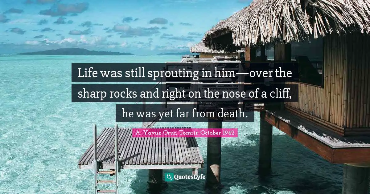 Life was still sprouting in him—over the sharp rocks and right on the nose of a cliff, he was yet far from death.