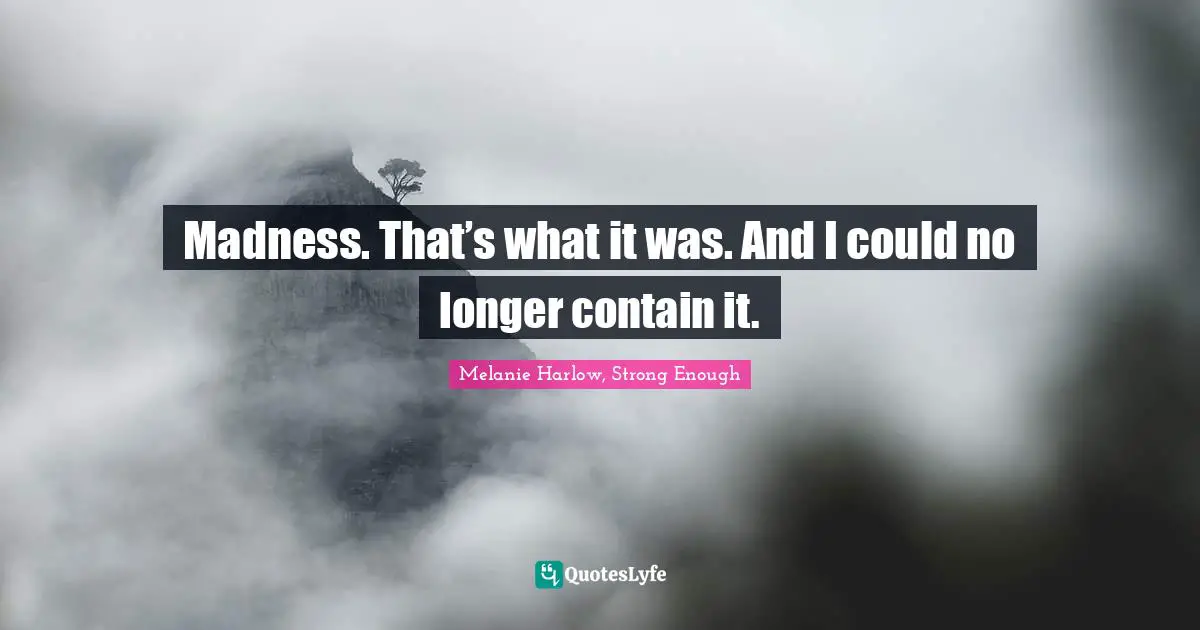 Madness. That’s what it was. And I could no longer contain it.