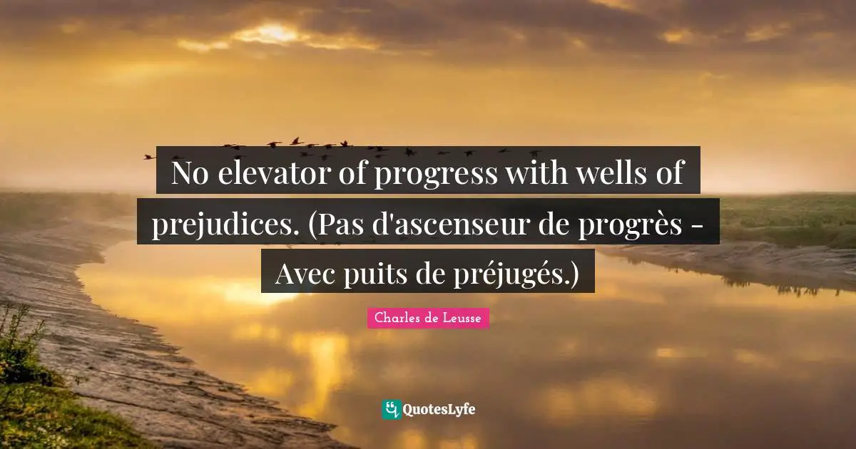 No elevator of progress with wells of prejudices. (Pas d'ascenseur de progrès - Avec puits de préjugés.)