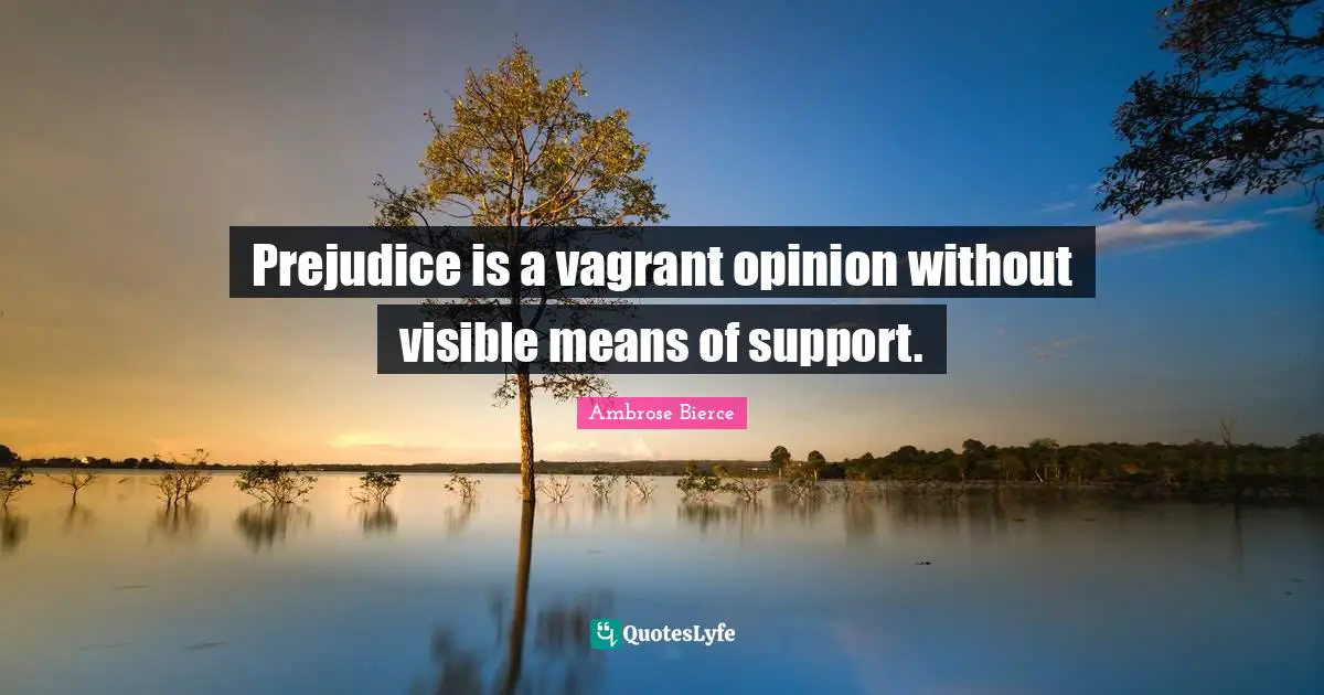Prejudice is a vagrant opinion without visible means of support.