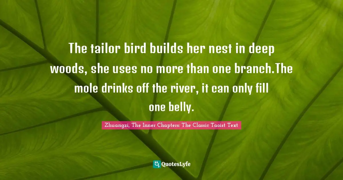 The tailor bird builds her nest in deep woods, she uses no more than one branch.The mole drinks off the river, it can only fill one belly.