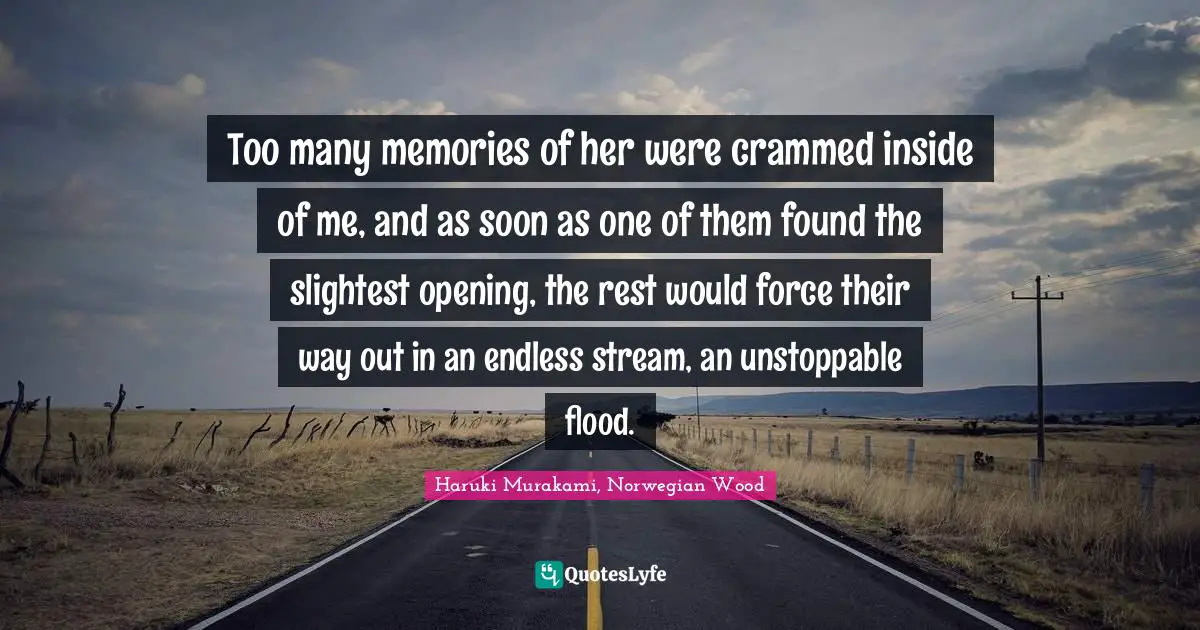 Too many memories of her were crammed inside of me, and as soon as one of them found the slightest opening, the rest would force their way out in an endless stream, an unstoppable flood.