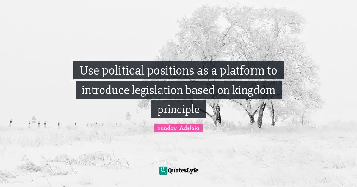 Use political positions as a platform to introduce legislation based on kingdom principle