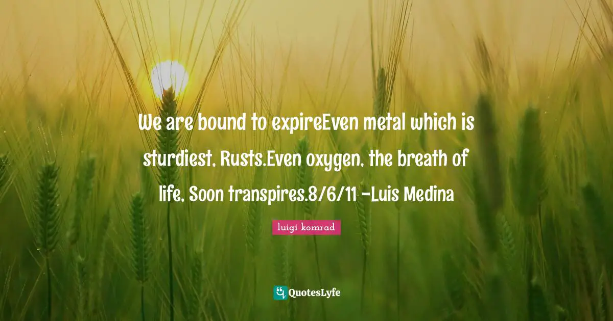 We are bound to expireEven metal which is sturdiest, Rusts.Even oxygen, the breath of life, Soon transpires.8/6/11 -Luis Medina