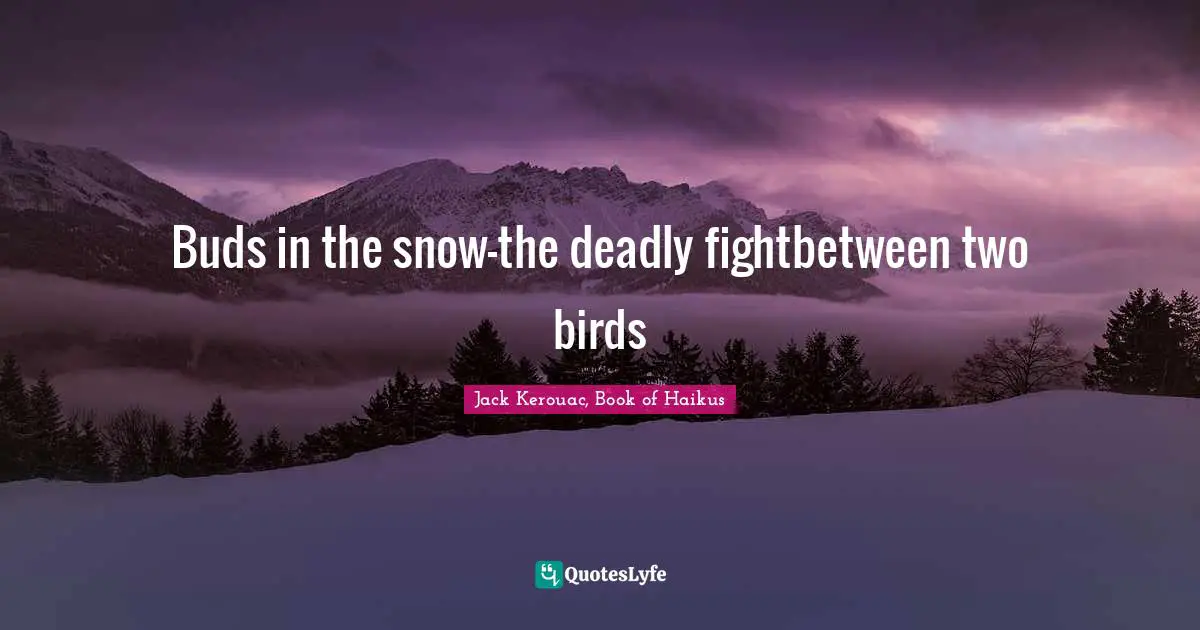 Buds in the snow—the deadly fightbetween two birds