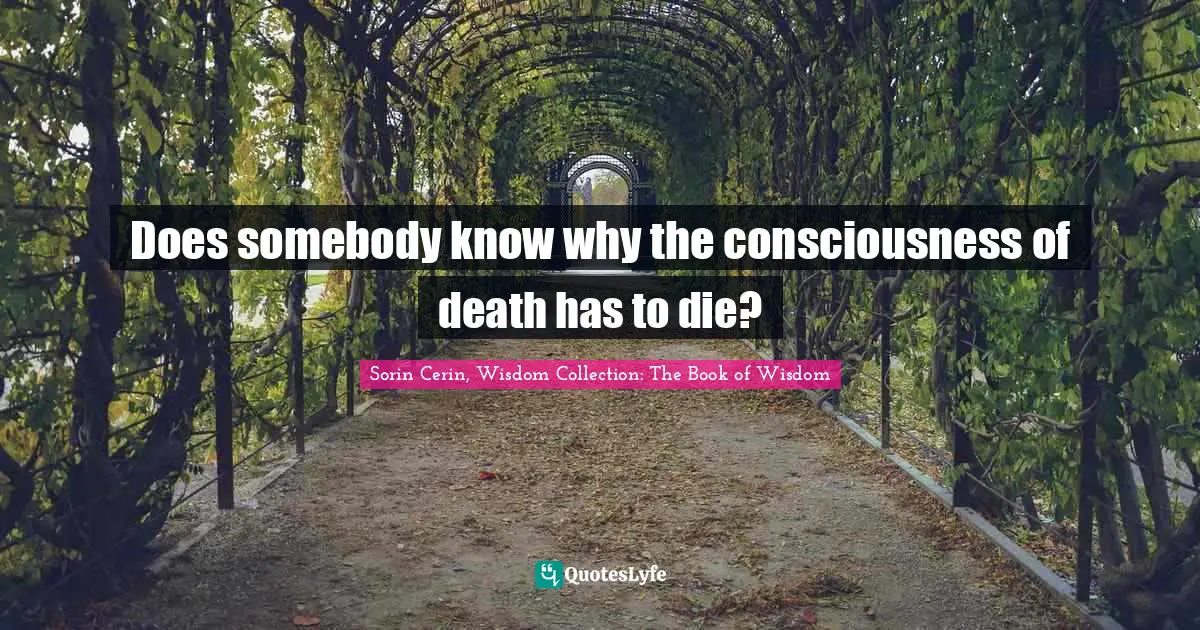 Sorin Cerin, Wisdom Collection: The Book Of Wisdom Quotes: "Does somebody know why the consciousness of death has to die?"