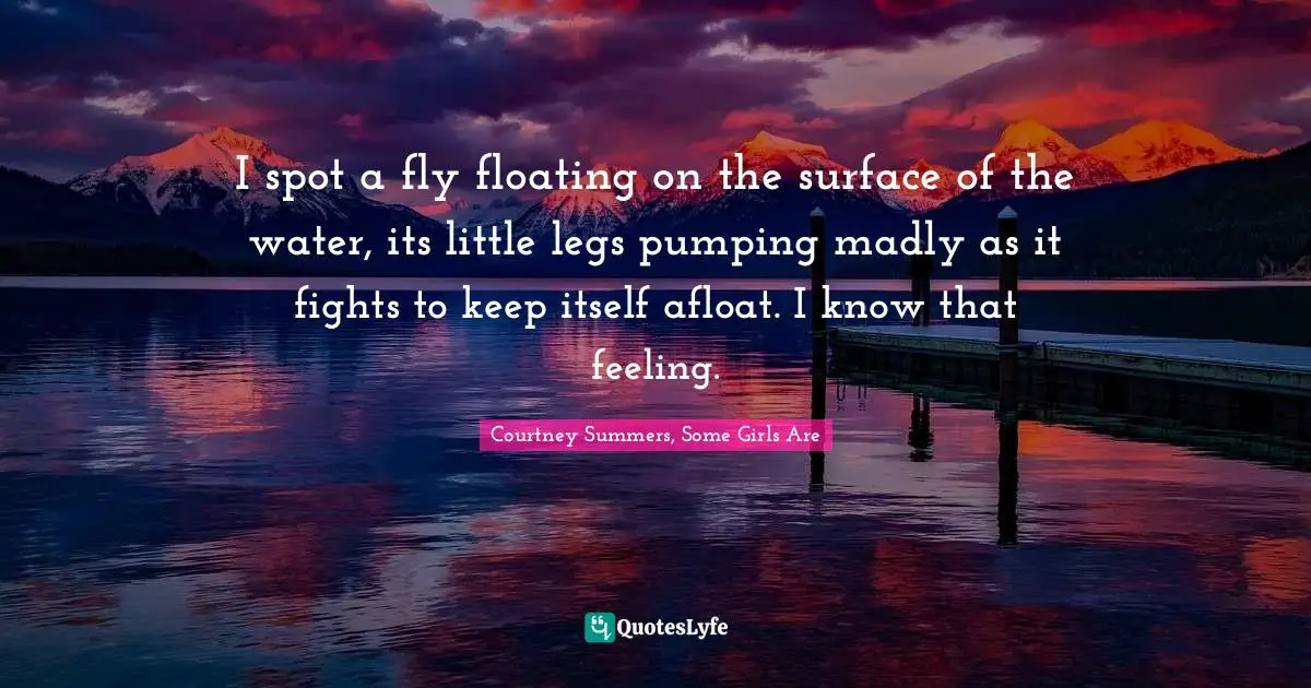 I spot a fly floating on the surface of the water, its little legs pumping madly as it fights to keep itself afloat. I know that feeling.