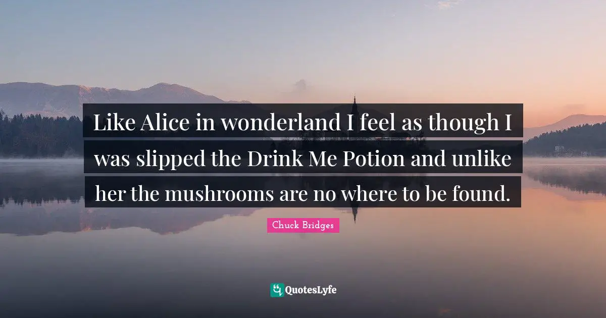 Chuck Bridges Quotes: Like Alice in wonderland I feel as though I was slipped the Drink Me Potion and unlike her the mushrooms are no where to be found.