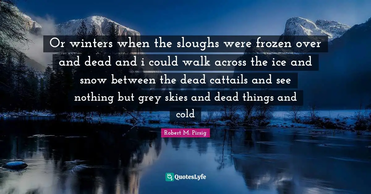 Or winters when the sloughs were frozen over and dead and i could walk across the ice and snow between the dead cattails and see nothing but grey skies and dead things and cold