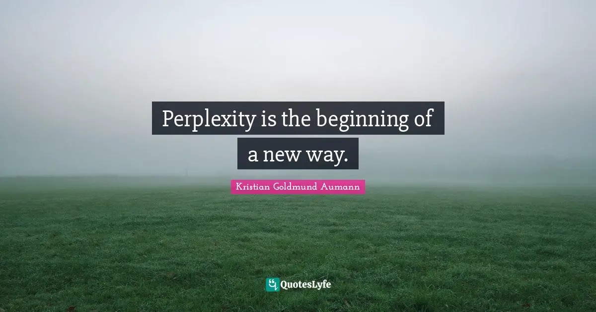 Perplexity is the beginning of a new way.