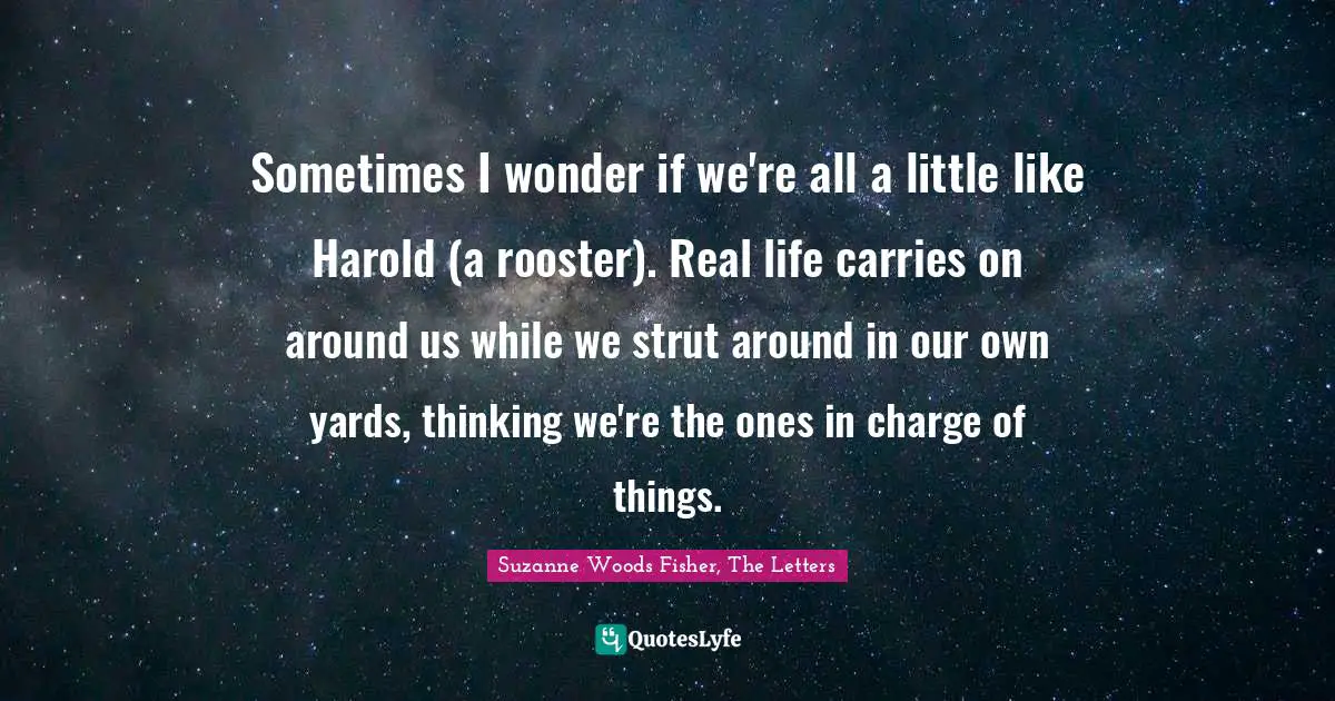 Sometimes I wonder if we're all a little like Harold (a rooster). Real life carries on around us while we strut around in our own yards, thinking we're the ones in charge of things.