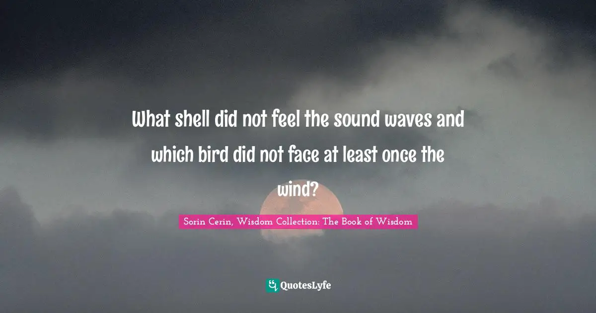 Sorin Cerin, Wisdom Collection: The Book Of Wisdom Quotes: "What shell did not feel the sound waves and which bird did not face at least once the wind?"