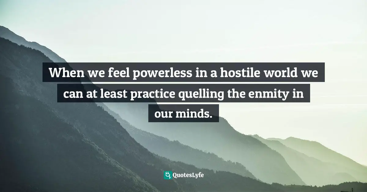 When we feel powerless in a hostile world we can at least practice quelling the enmity in our minds.