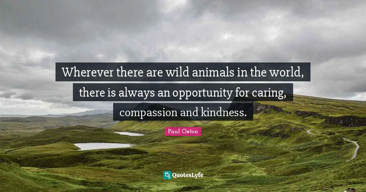 Wherever there are wild animals in the world, there is always an opportunity for caring, compassion and kindness.