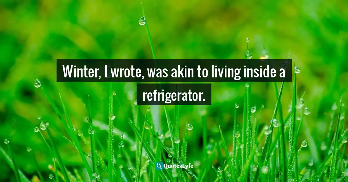 Winter, I wrote, was akin to living inside a refrigerator.