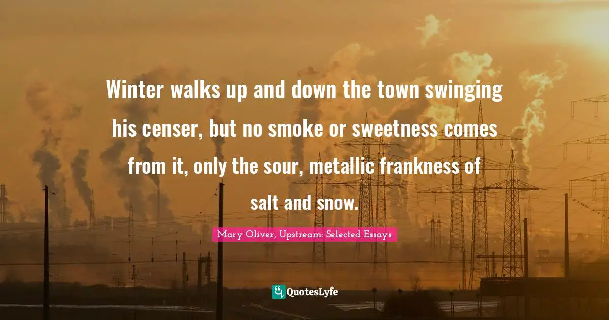 Winter walks up and down the town swinging his censer, but no smoke or sweetness comes from it, only the sour, metallic frankness of salt and snow.