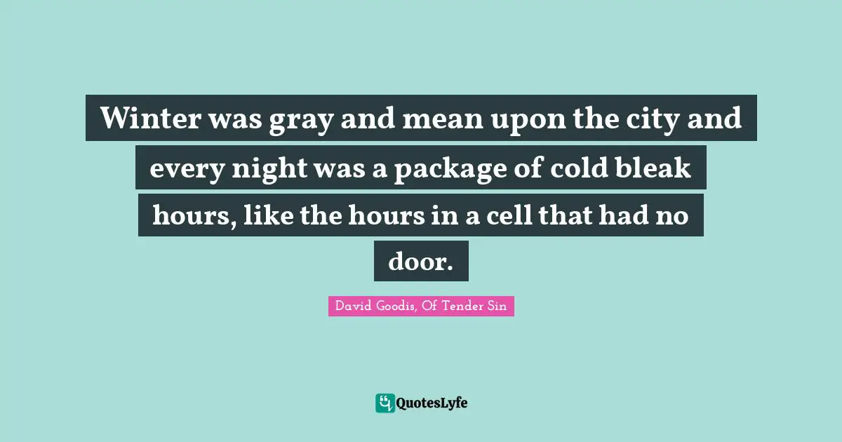 Winter was gray and mean upon the city and every night was a package of cold bleak hours, like the hours in a cell that had no door.