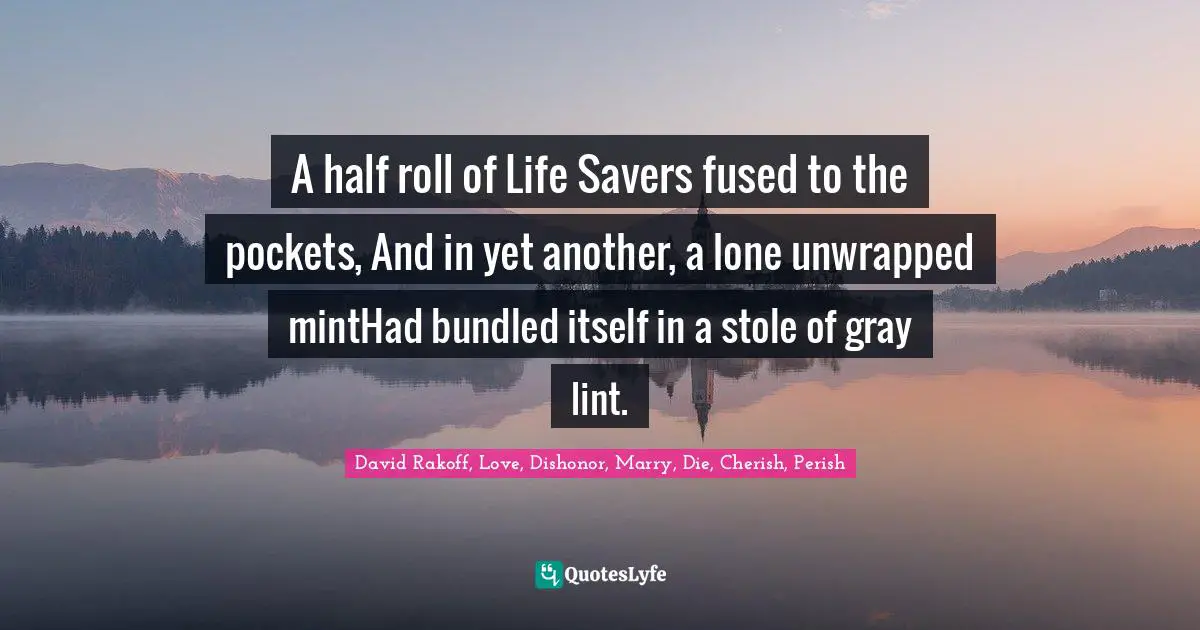 A half roll of Life Savers fused to the pockets, And in yet another, a lone unwrapped mintHad bundled itself in a stole of gray lint.