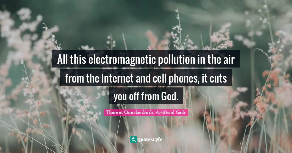 All this electromagnetic pollution in the air from the Internet and cell phones, it cuts you off from God.