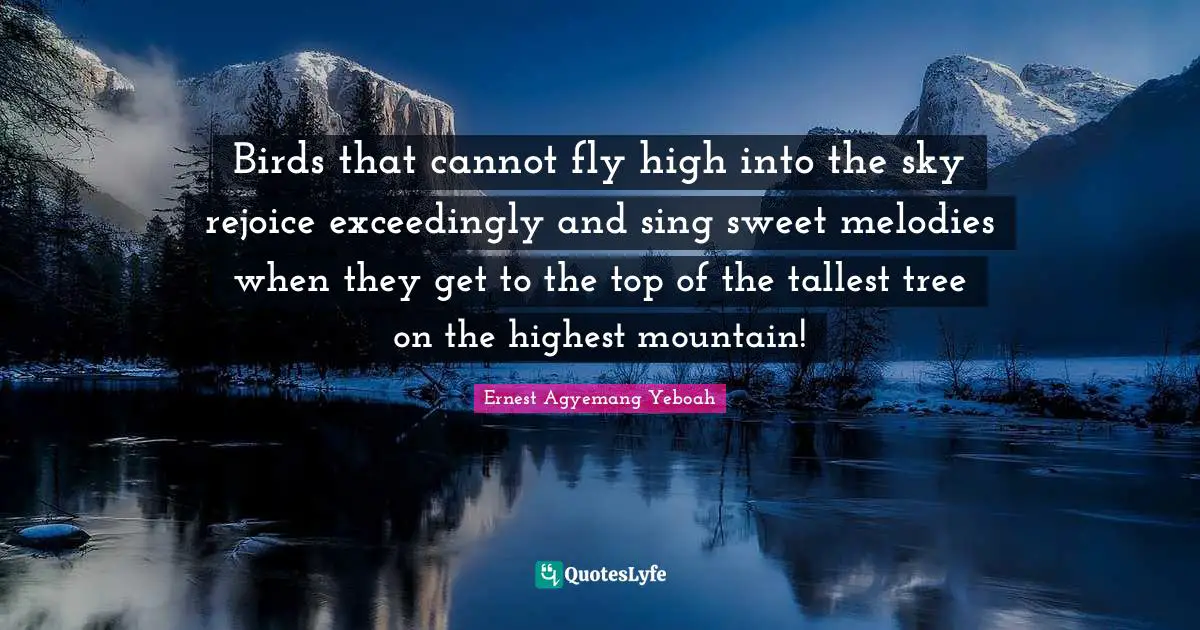 Birds that cannot fly high into the sky rejoice exceedingly and sing sweet melodies when they get to the top of the tallest tree on the highest mountain!