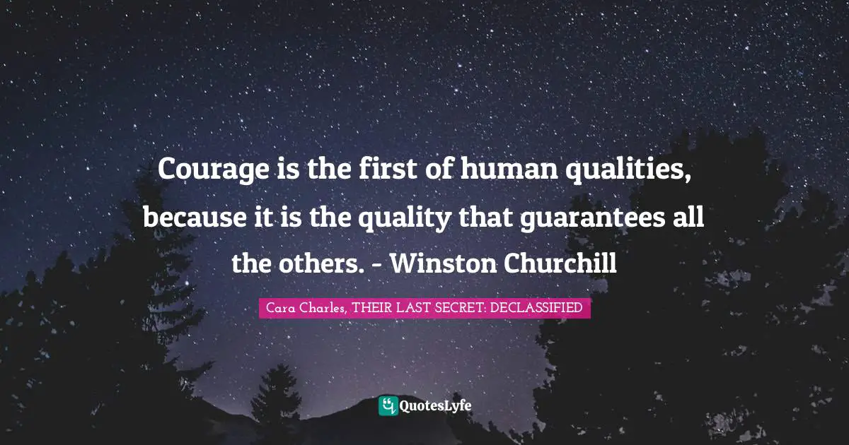 Courage is the first of human qualities, because it is the quality that guarantees all the others. - Winston Churchill