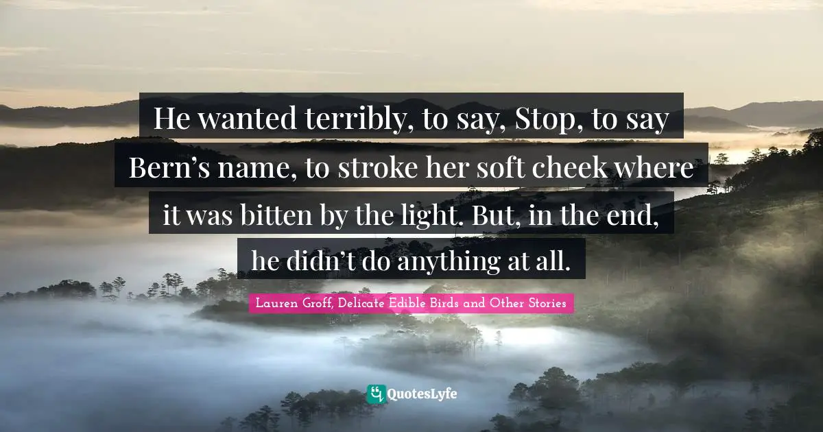 He wanted terribly, to say, Stop, to say Bern’s name, to stroke her soft cheek where it was bitten by the light. But, in the end, he didn’t do anything at all.