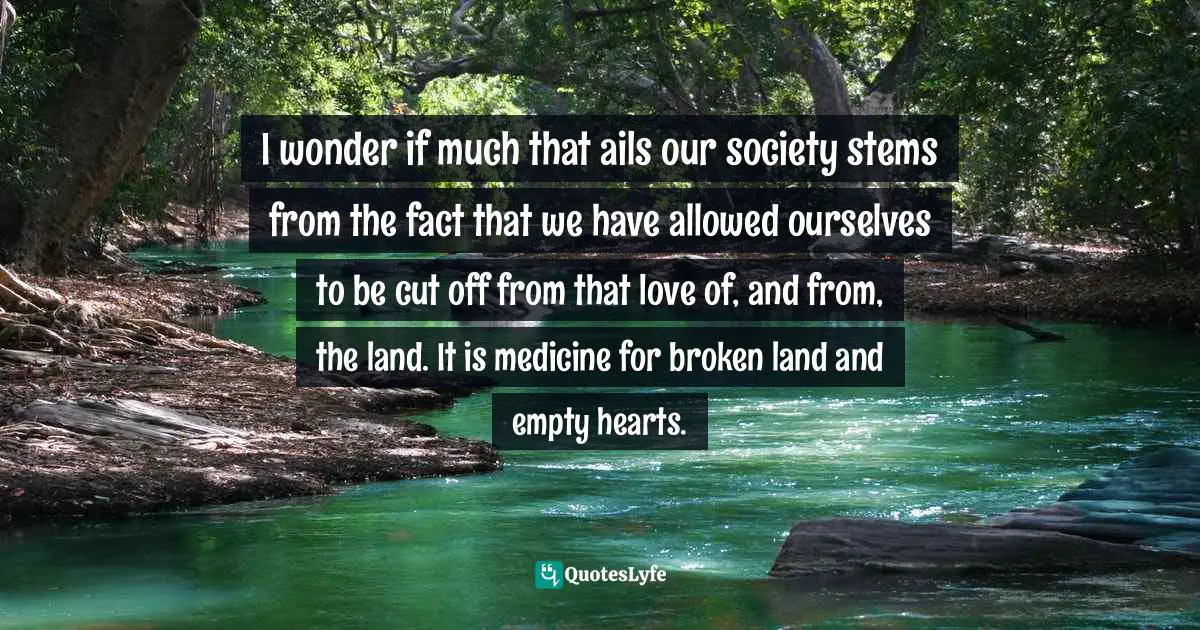 I wonder if much that ails our society stems from the fact that we have allowed ourselves to be cut off from that love of, and from, the land. It is medicine for broken land and empty hearts.