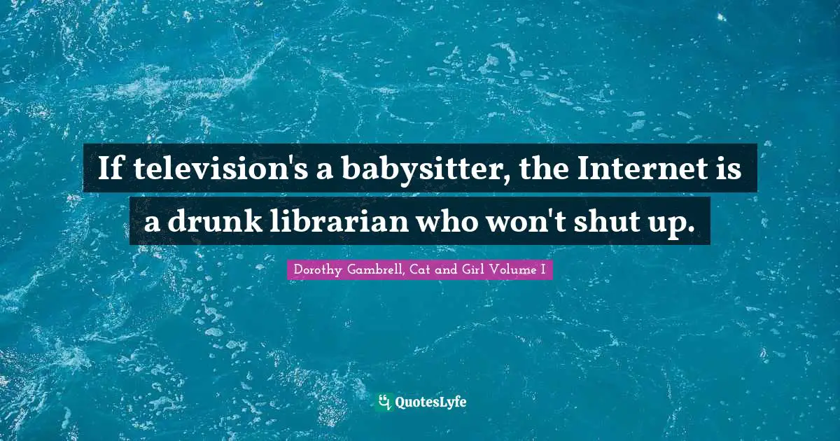 If television's a babysitter, the Internet is a drunk librarian who won't shut up.