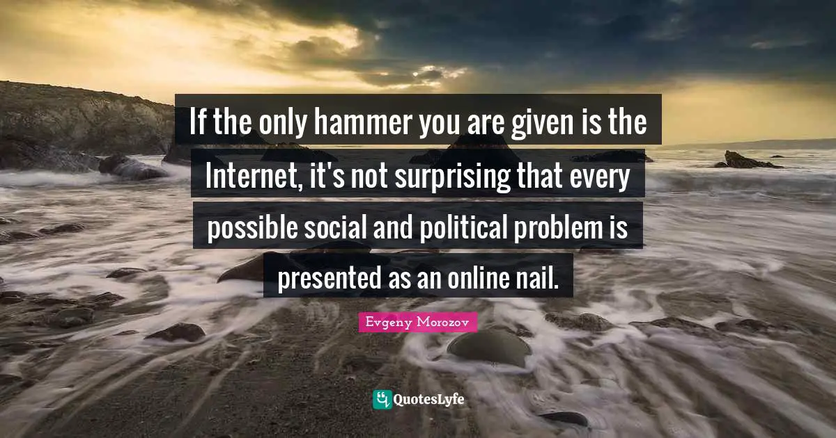 If the only hammer you are given is the Internet, it's not surprising that every possible social and political problem is presented as an online nail.