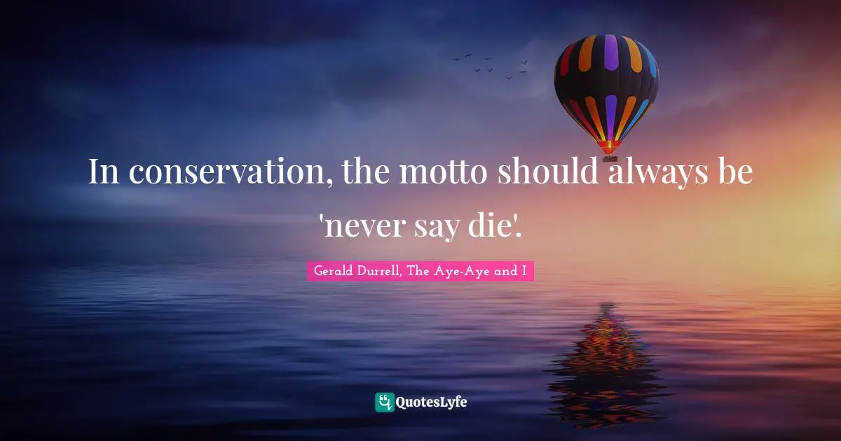 In conservation, the motto should always be 'never say die'.