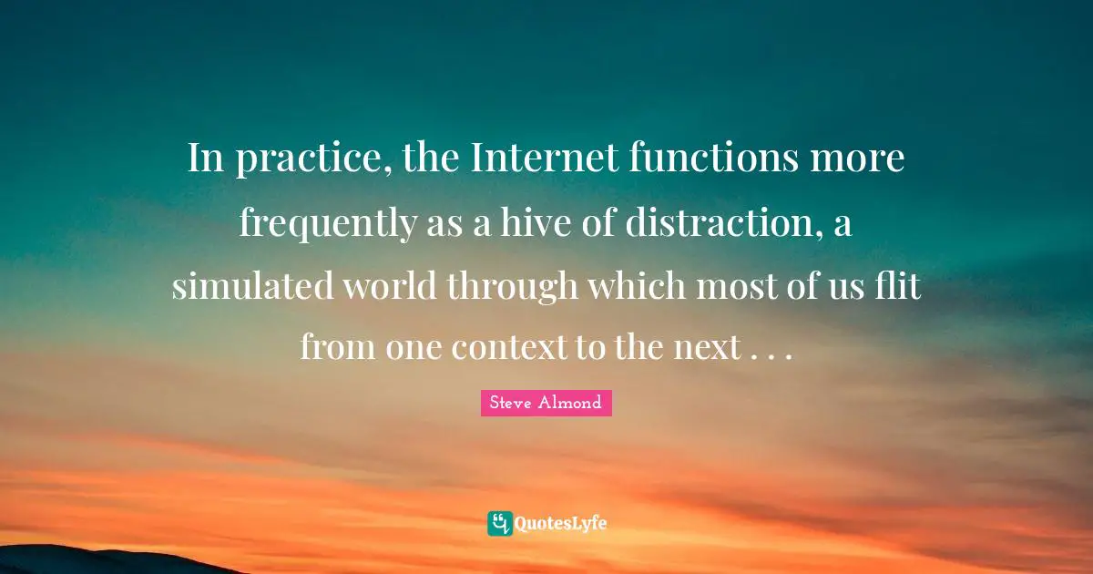 In practice, the Internet functions more frequently as a hive of distraction, a simulated world through which most of us flit from one context to the next . . .