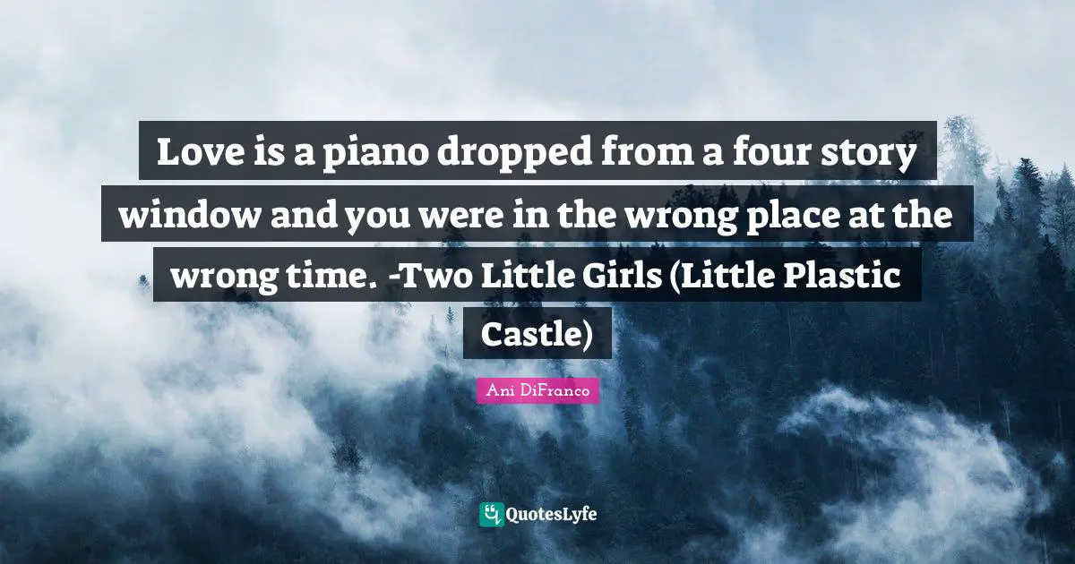 Love is a piano dropped from a four story window and you were in the wrong place at the wrong time. -Two Little Girls (Little Plastic Castle)
