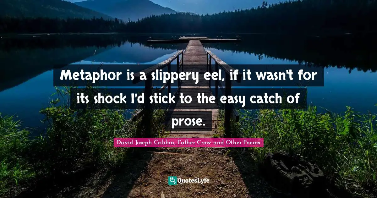 Metaphor is a slippery eel, if it wasn't for its shock I'd stick to the easy catch of prose.