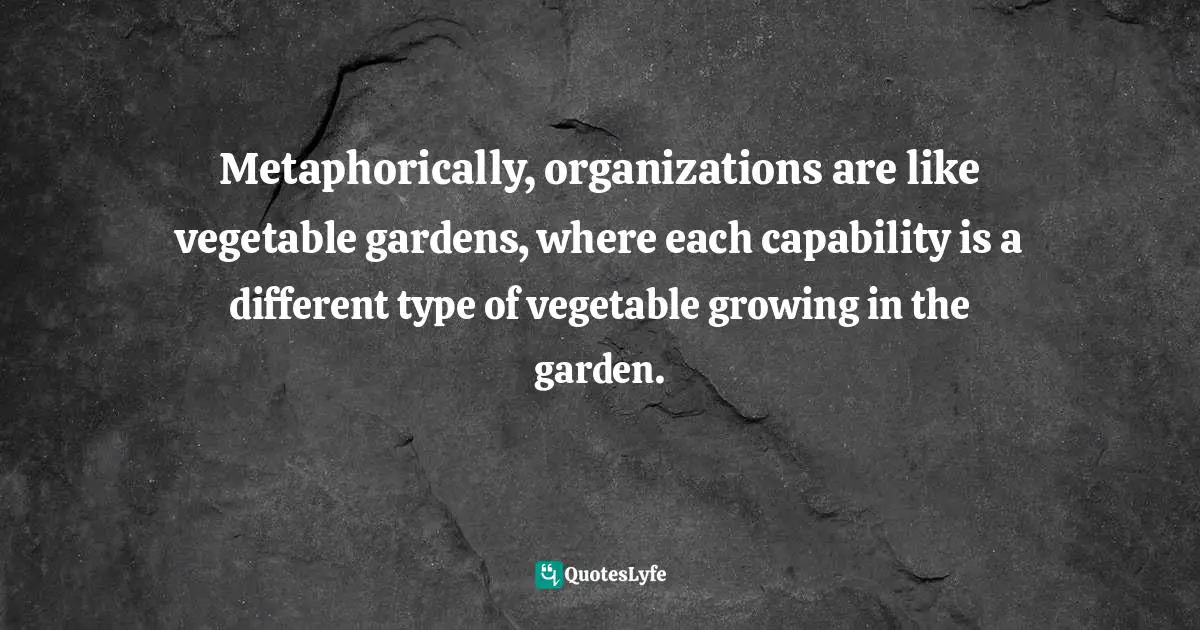 Metaphorically, organizations are like vegetable gardens, where each capability is a different type of vegetable growing in the garden.