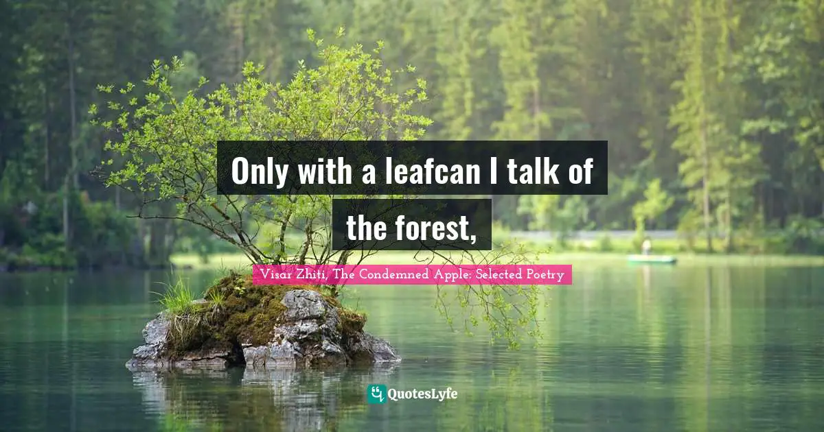 Only with a leafcan I talk of the forest, 