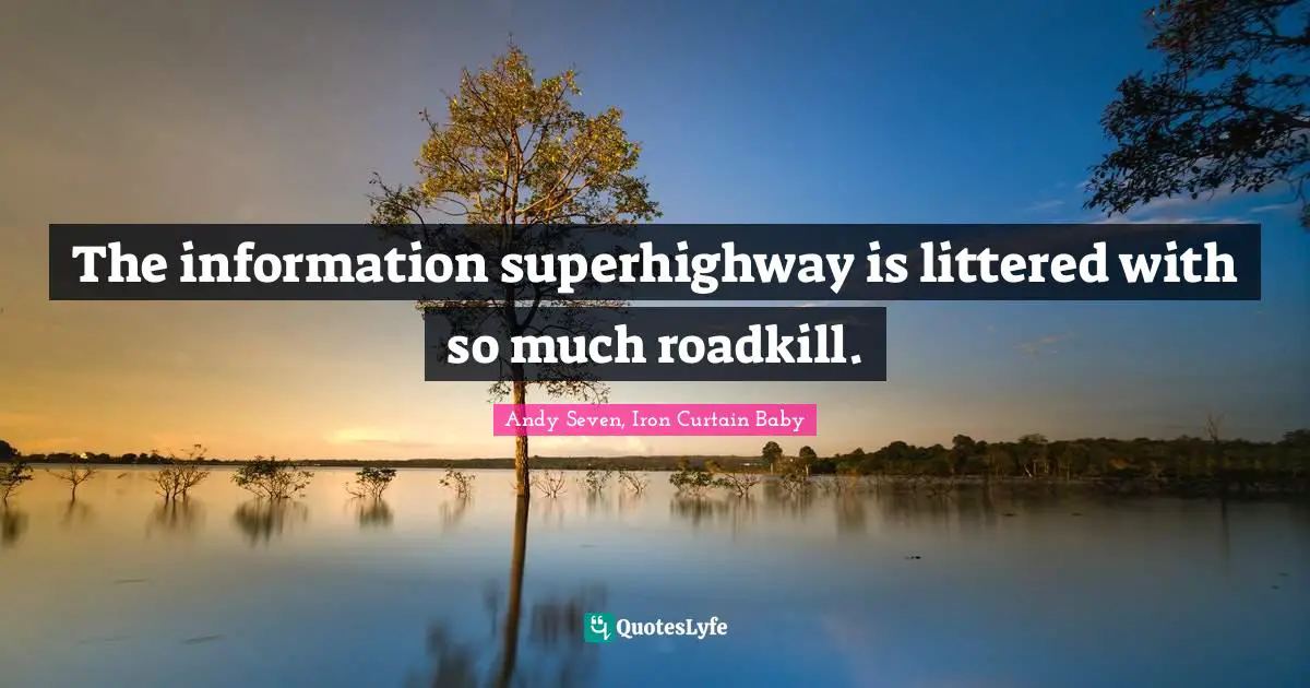 Networks Quotes: "The information superhighway is littered with so much roadkill."