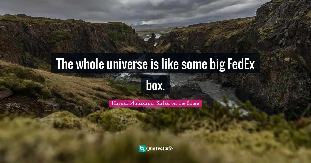 Haruki Murakami, Kafka On The Shore Quotes: "The whole universe is like some big FedEx box."