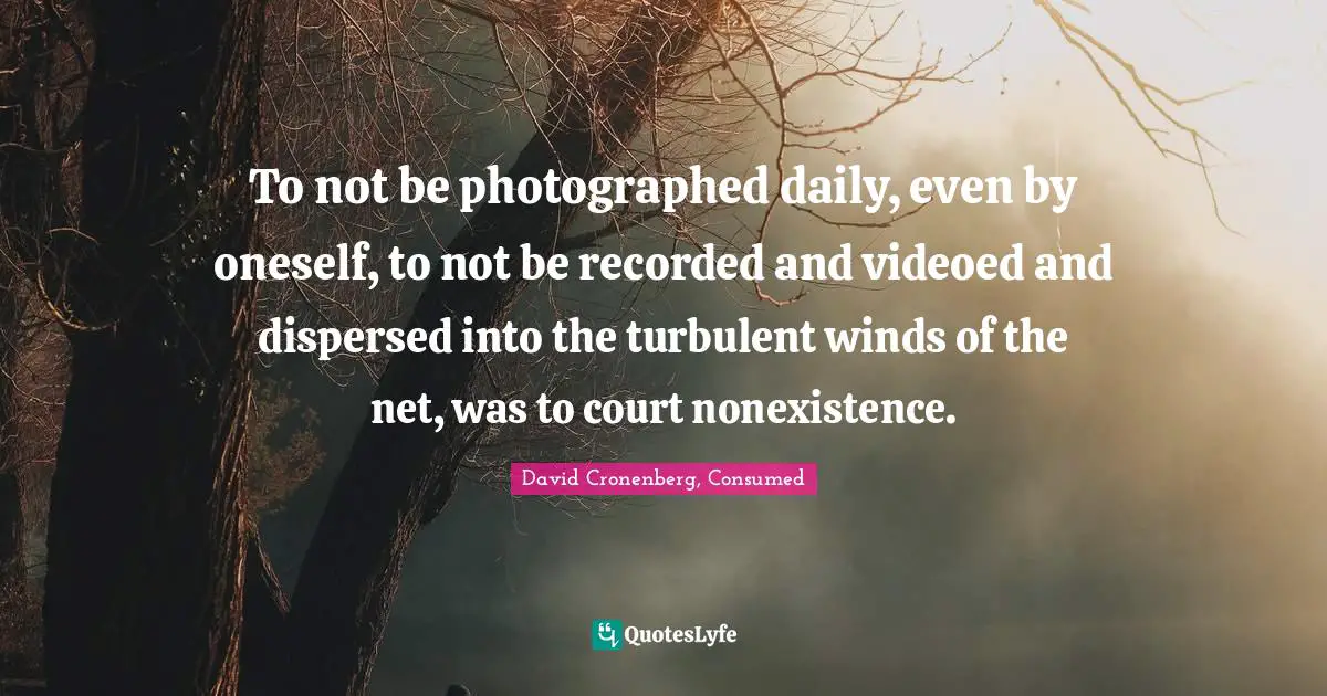 To not be photographed daily, even by oneself, to not be recorded and videoed and dispersed into the turbulent winds of the net, was to court nonexistence.