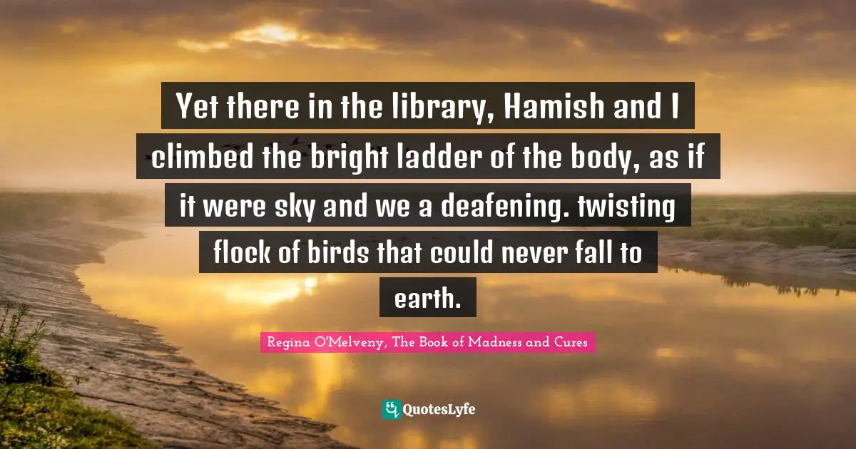 Yet there in the library, Hamish and I climbed the bright ladder of the body, as if it were sky and we a deafening. twisting flock of birds that could never fall to earth.